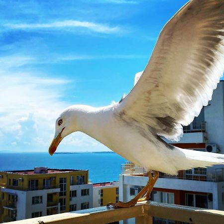 Sea View Panoramic Apartments, Fort Noks Crown Club Sveti Vlas Exterior photo